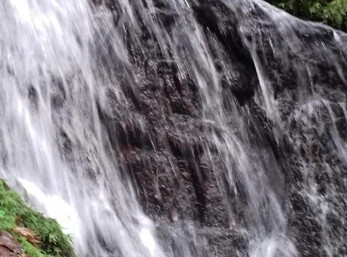 Chez Claire Latouille-Lentillac