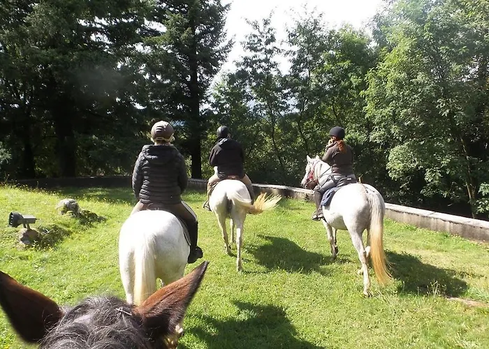 Chez Claire בית הארחה Latouille-Lentillac