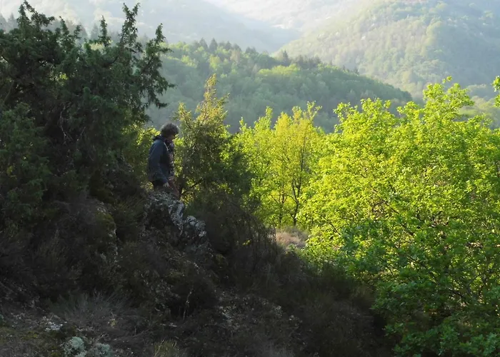 בית הארחה Chez Claire