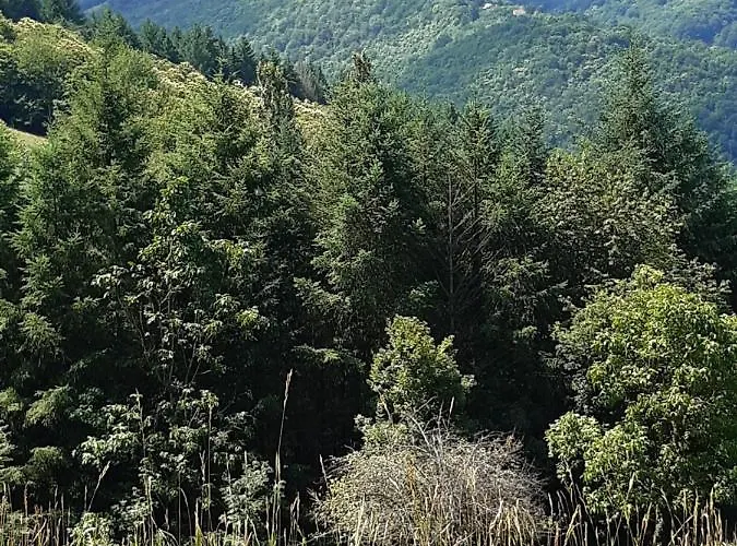 בית הארחה Chez Claire