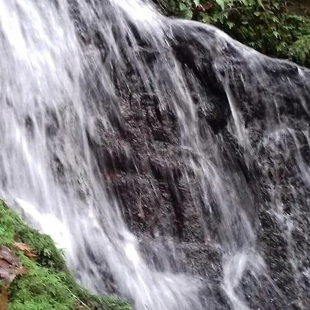 Chez Claire Latouille-Lentillac
