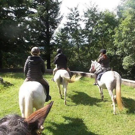Chez Claire Affittacamere Latouille-Lentillac