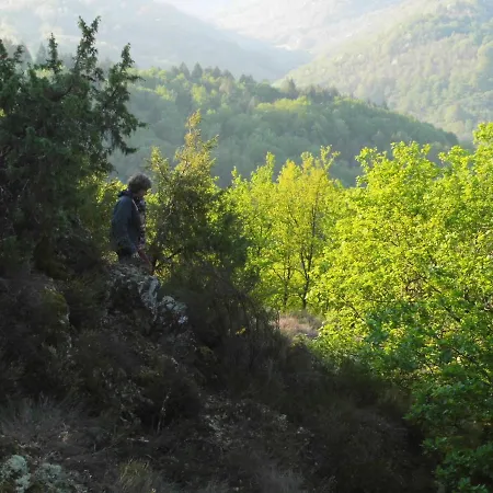 Affittacamere Chez Claire