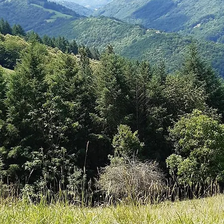 ゲストハウス Chez Claire